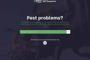 nzppm web build | frankworks
